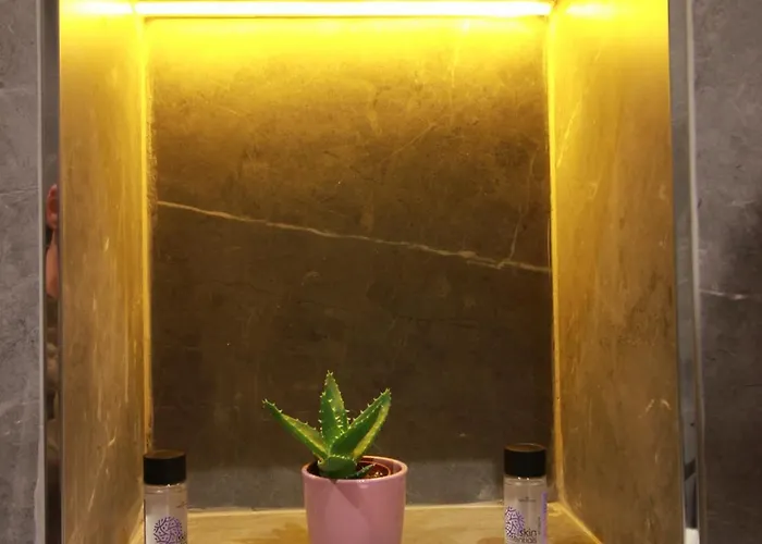 Grey Stone 招待所 Gjirokastër